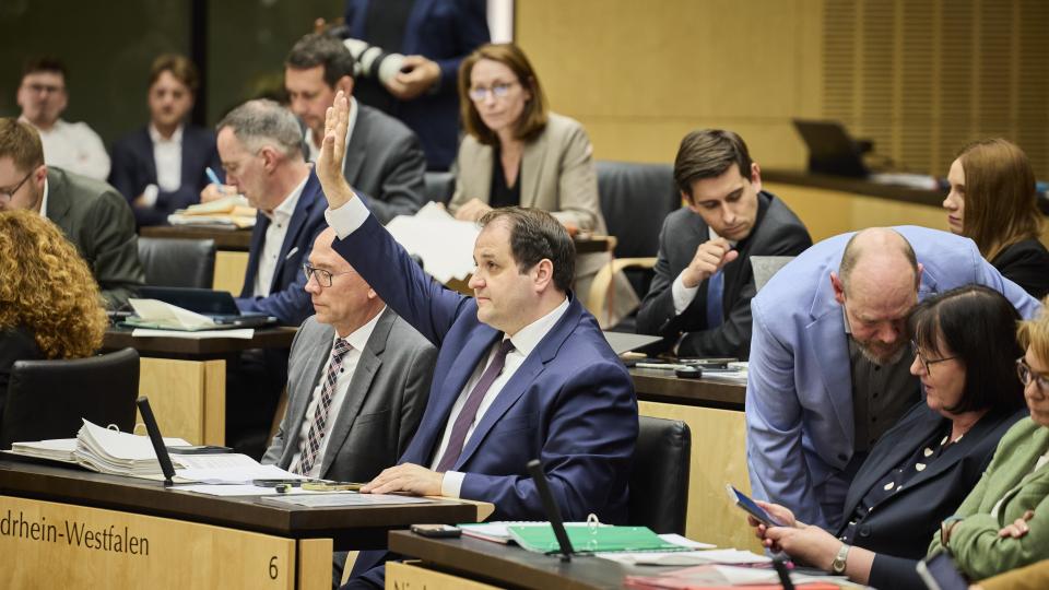 1065. Bundesrat Abstimmung
